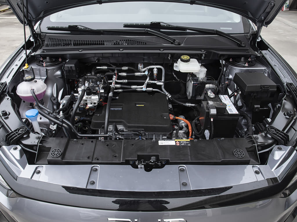 2024 BYD e2 Image 23